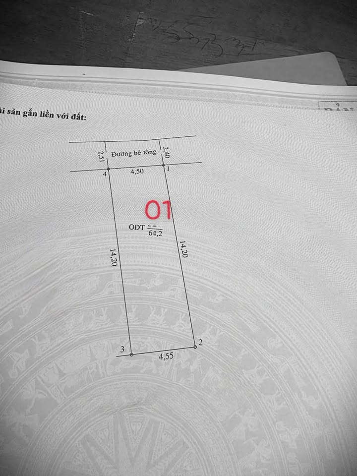 Đất Phú Hòa 64m² giá 1.9 tỷ - Sổ đỏ chính chủ, ô tô vào tận nơi!