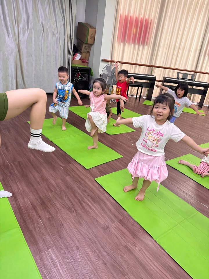 Đất mặt đường 203, phường Hoa Động, Thủy Nguyên, 115m² - Kinh doanh thuận lợi!