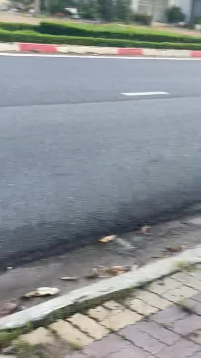 Nhà vườn 1459m² tại phường Bà Rịa - Giá 29.18 tỷ - Đầu tư sinh lời!