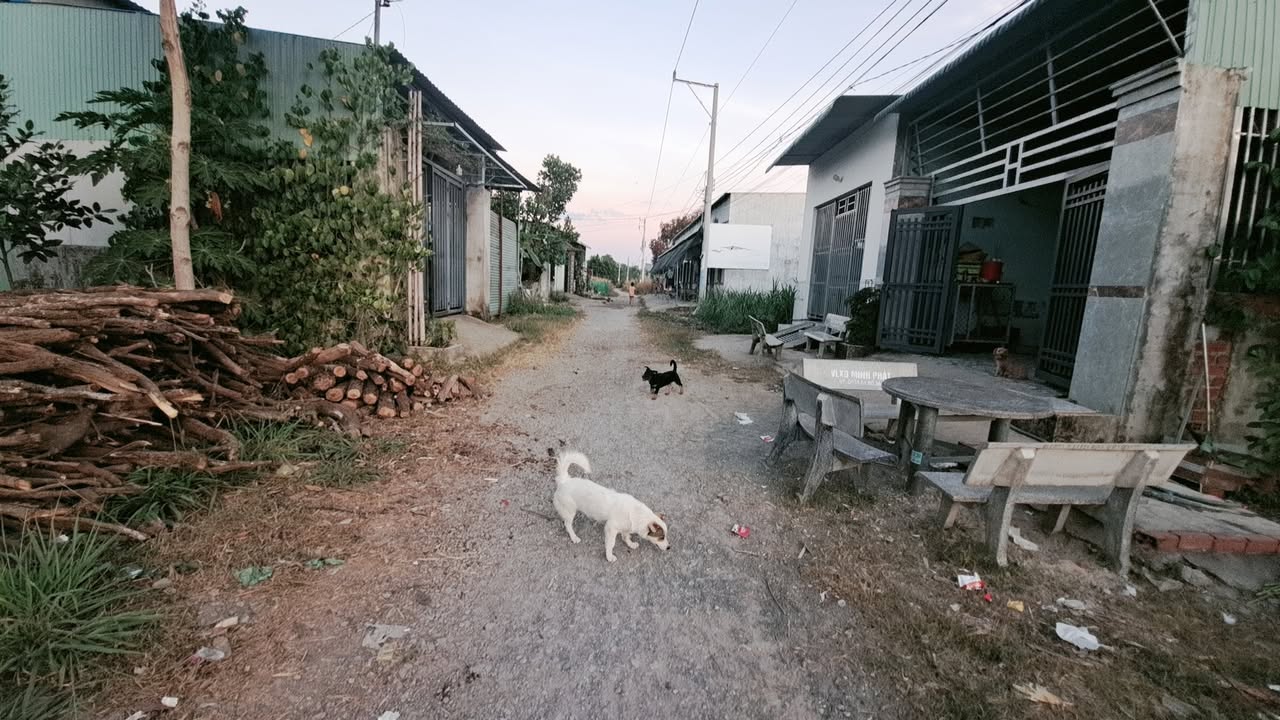 Đất nền Trừ Văn Thố, Bàu Bàng 125m² giá chỉ 600 triệu - Đường thông, dân cư đông đúc!