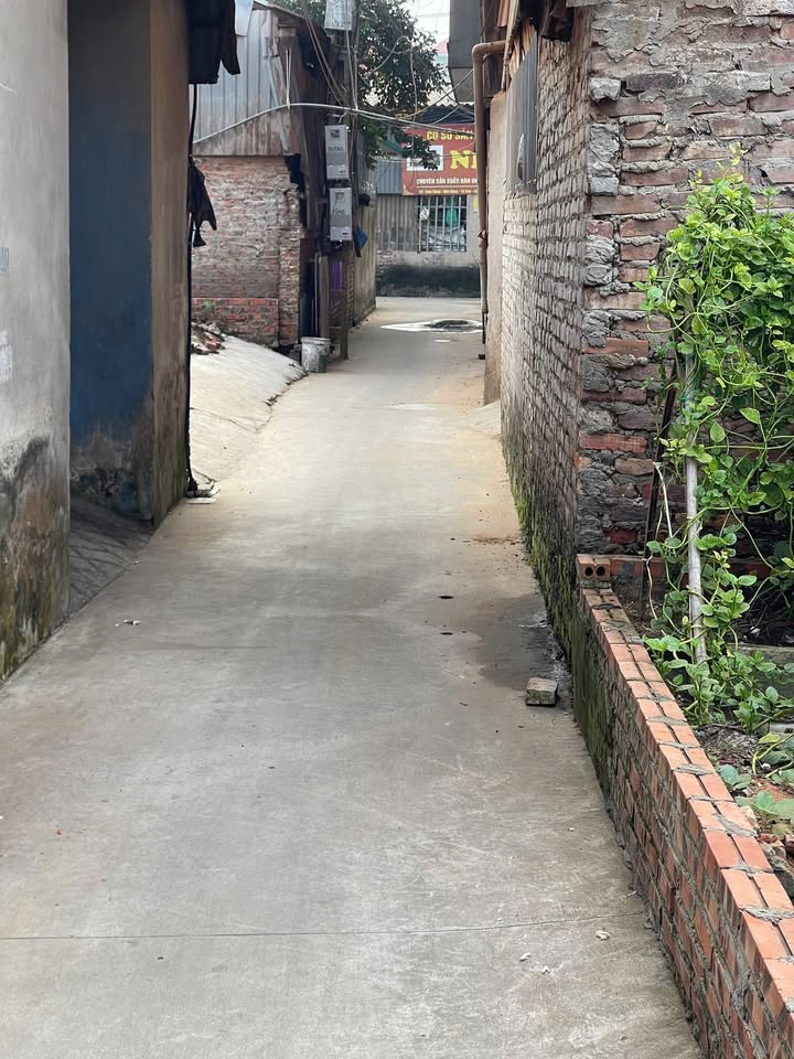 Đất nền Mai Động, Phù Khê, Từ Sơn, 51m² chỉ 1 tỷ - Chính chủ bán gấp!