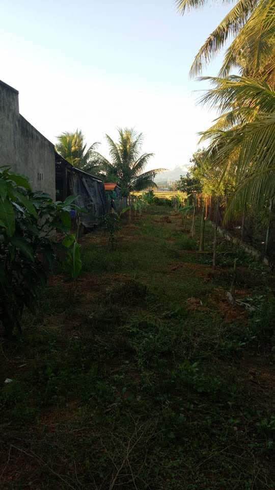 Đất nền Ninh Thọ 367m² giá 1 tỷ - Pháp lý rõ ràng, giao dịch nhanh!