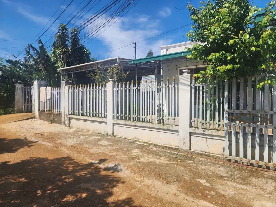 Đất nền Trần Hưng Đạo, Lộc Sơn 1000m² giá 2.5 tỷ - Khu dân cư đông đúc!