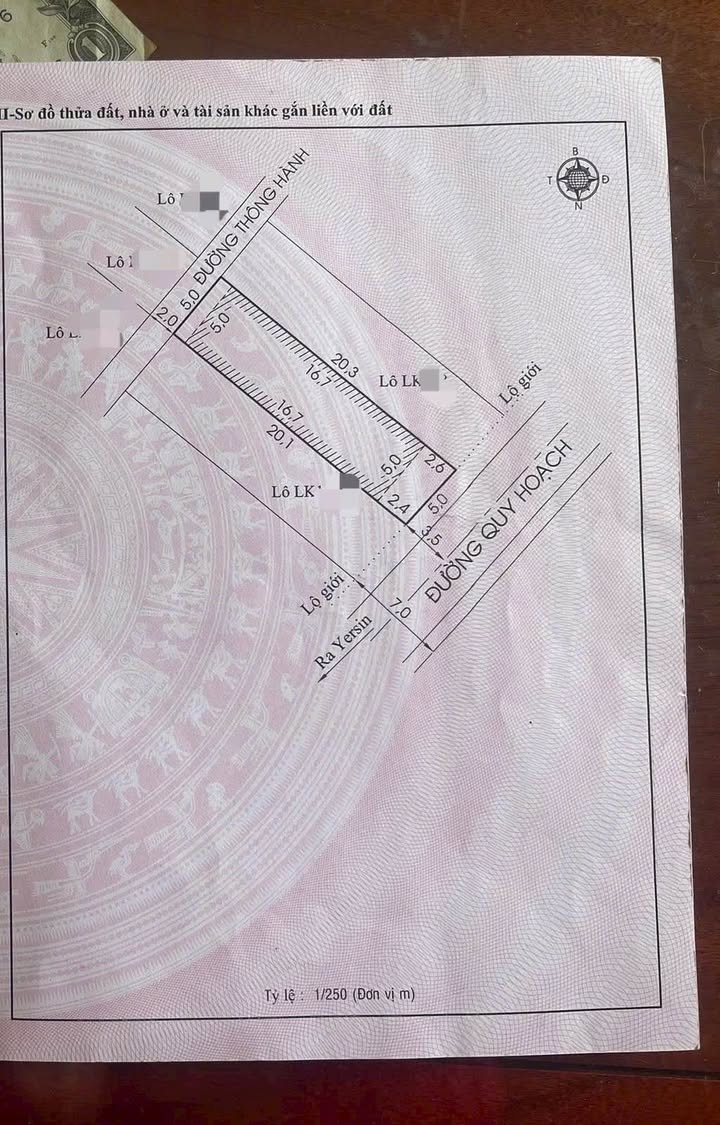 Nhà phố Khu quy hoạch Yersin, Đà Lạt 100m² giá 8.7 tỷ - Kinh doanh thuận lợi!
