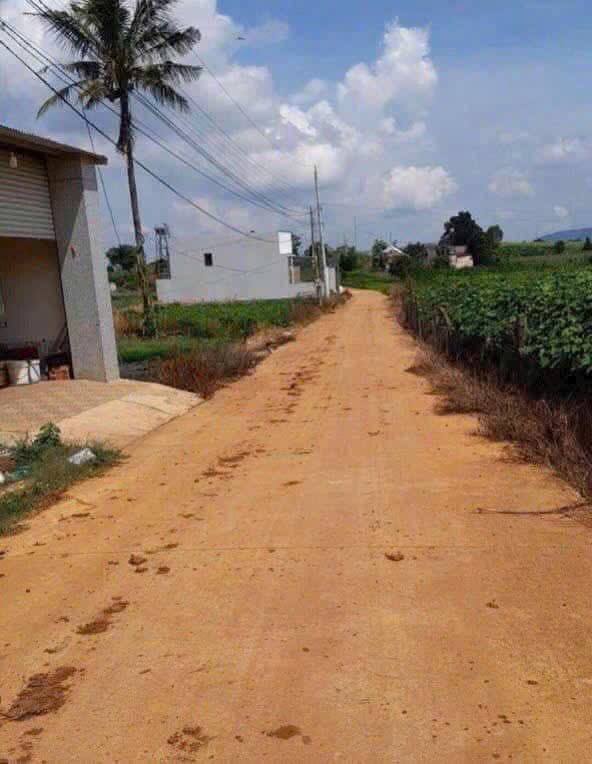 Đất đẹp tại xã Liên Hiệp, Đức Trọng 4900m² - Sổ đỏ chính chủ, giá thỏa thuận!