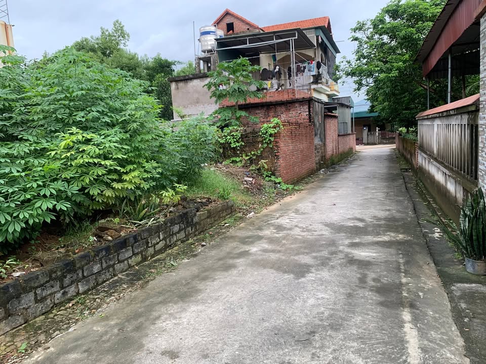 Lô đất vàng Tràng An, Đông Triều, 289m² giá 1.22 tỷ - Đầu tư sinh lời ngay!