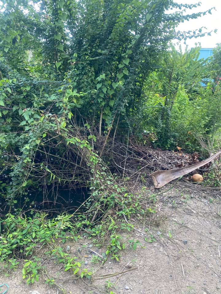 Đất vườn 524m² tại Bình Trinh, Tân Trụ, Long An - Giá chỉ 450 triệu, sổ đỏ chính chủ!