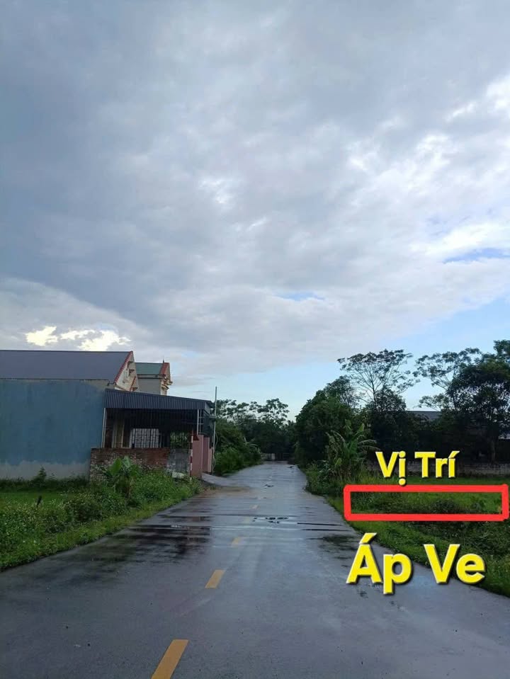 Đất thổ cư 210m² tại Thôn Nguyễn, Yên Sơn, Tam Điệp giá 1.4 tỷ - Khu dân cư đông đúc!