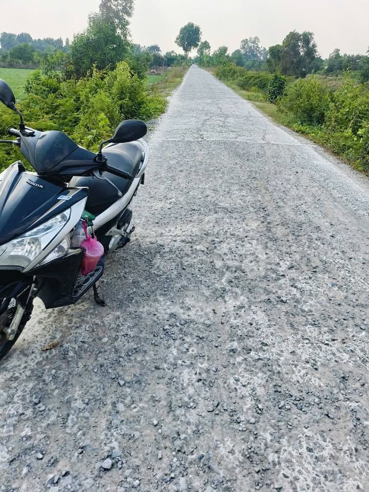 Đất lúa 4800m² tại Tân Hiệp, Thạnh Hóa - Tiềm năng đầu tư cực lớn!