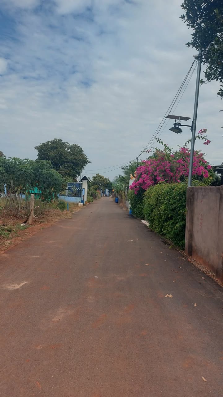 Đất Bưng Riềng Xuyên Mộc 393.6m² giá 1.85 tỷ - Cơ hội đầu tư tuyệt vời!