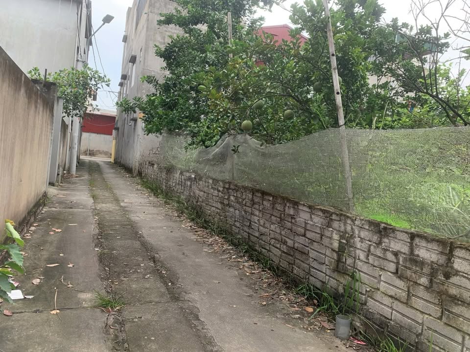 Đất thổ cư Phương Liễu, Quế Võ, Bắc Ninh 60.6m² giá 1 tỷ - Đường thông ô tô vào tận đất!