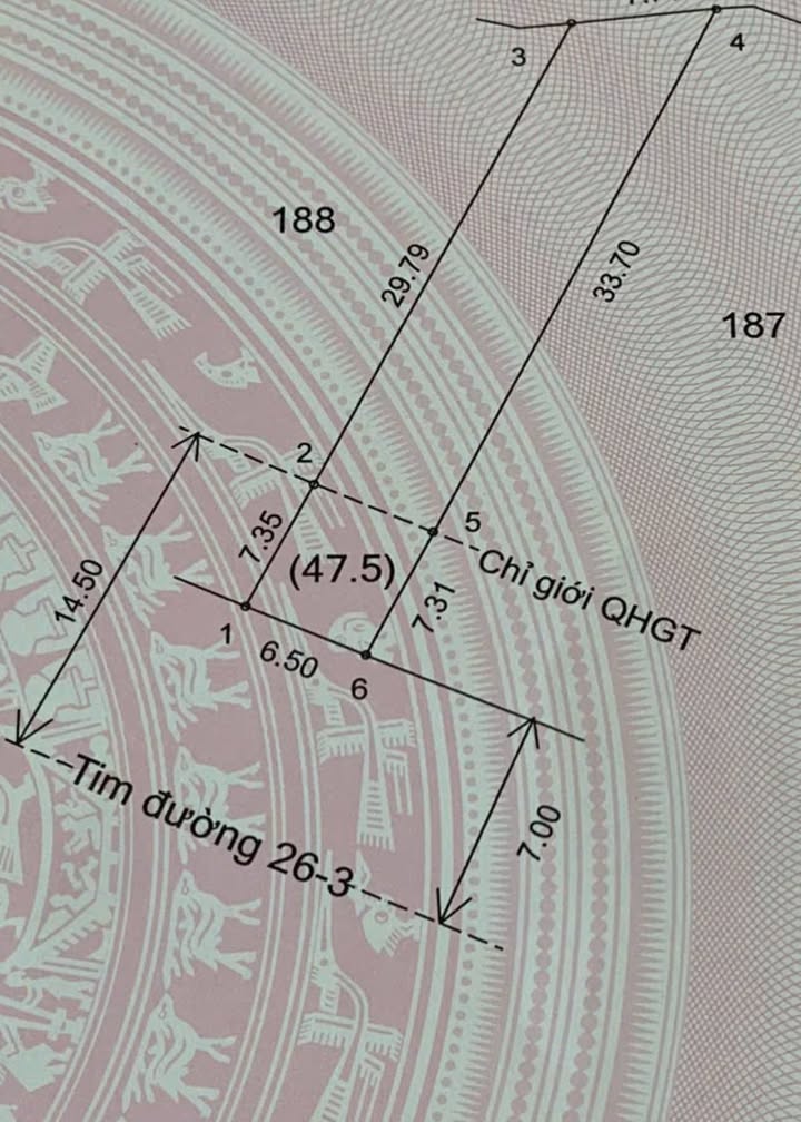 Đất nền Cẩm Quang 254m² giá 1 tỷ - Đầu tư sinh lời ngay!