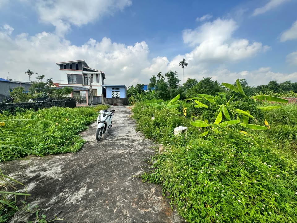 Đất nền Mỹ Đồng - Thủy Nguyên 65.5m² giá 400 triệu - Cơ hội đầu tư hấp dẫn!