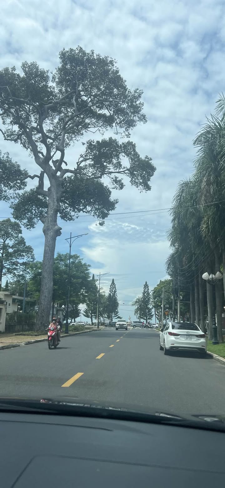 Đất Khu Đô Thị Chí Linh Vũng Tàu 77m² giá 7.5 tỷ - Đất nền đẹp, pháp lý rõ ràng!