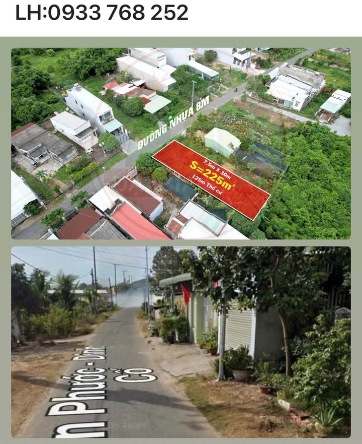 Đất mặt tiền đường nhựa An Ngãi 225m² - Tiềm năng sinh lời cao!