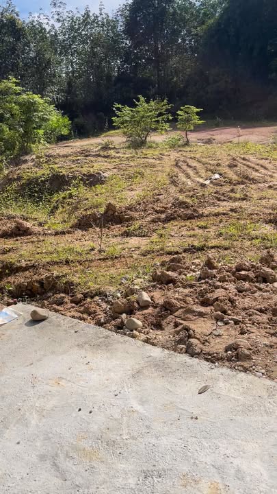 Đất nông nghiệp Đăk Cấm 420m² giá chỉ 3xx triệu - Đường bê tông rộng rãi