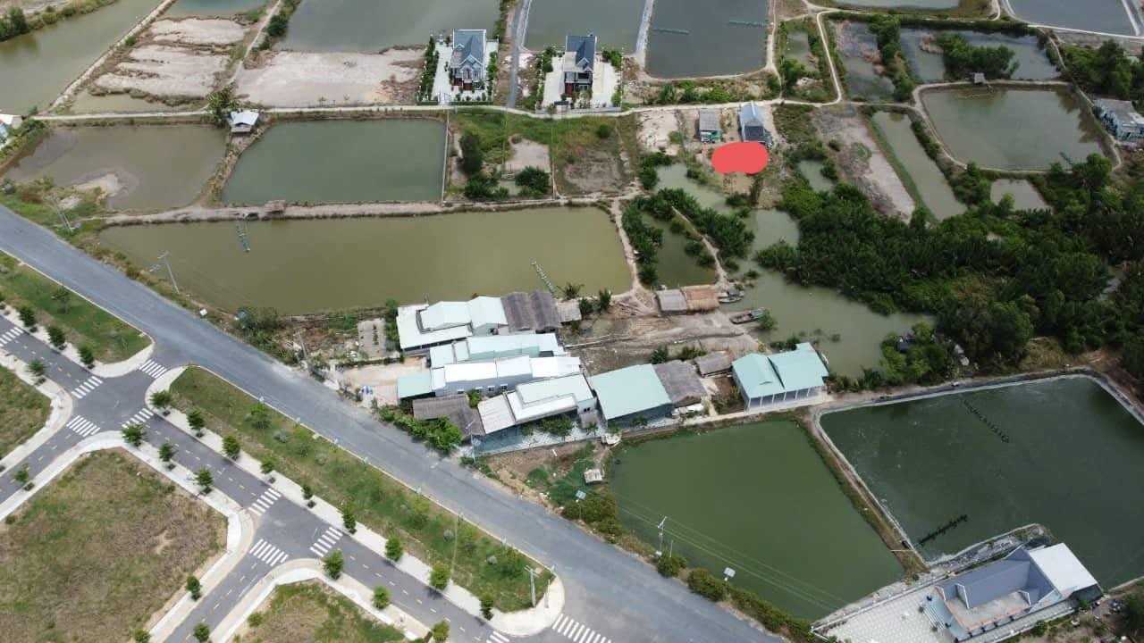 Đất thổ cư Phước Vĩnh Đông, Cần Giuộc 291m² giá thỏa thuận - Cơ hội đầu tư không thể bỏ qua!