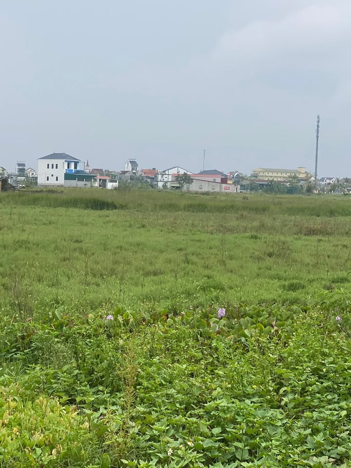 Đất nền Yên Thành Nghệ An 147m² giá thỏa thuận - Đầu tư sinh lợi ngay!