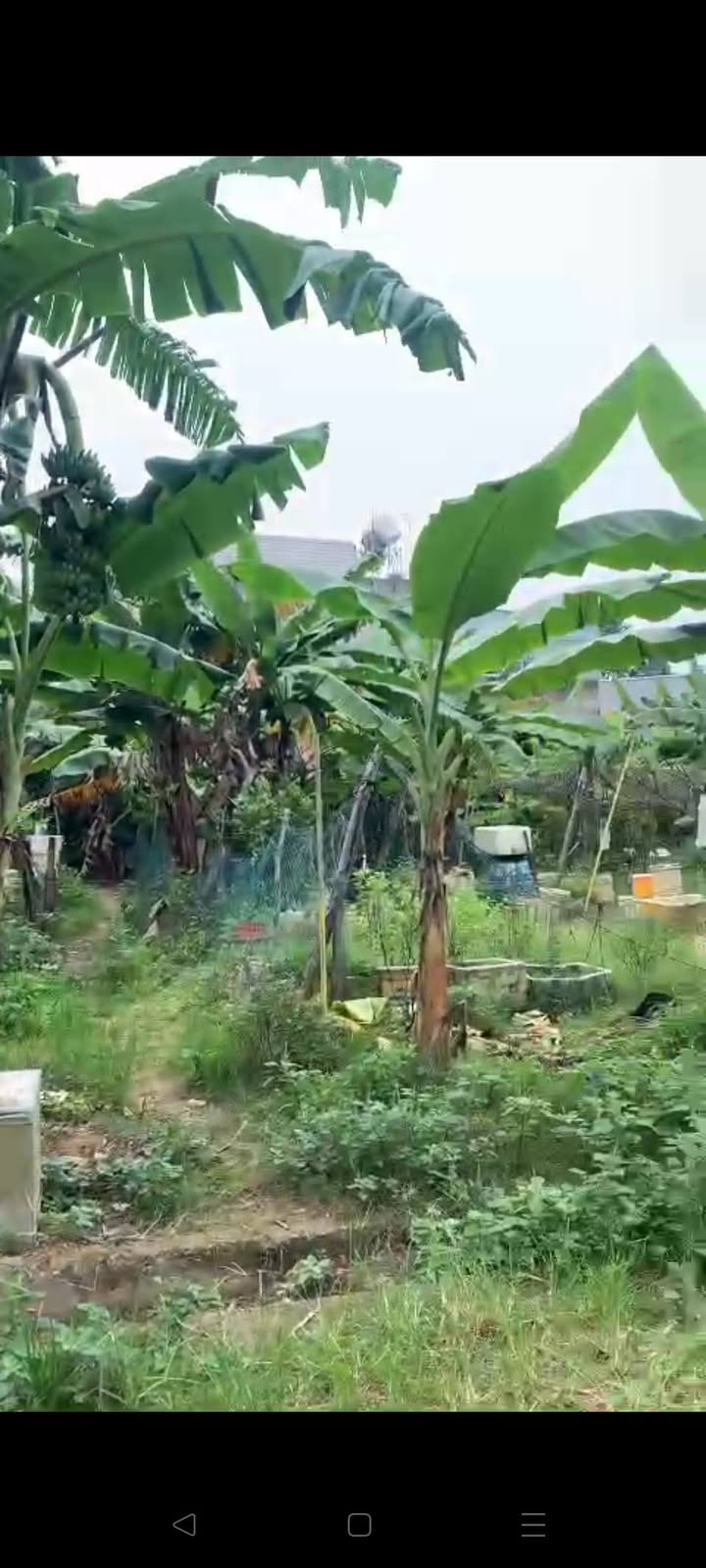 Đất nền Phước Thiền, Nhơn Trạch 115m² giá 1.2 tỷ - Đầu tư sinh lời ngay!