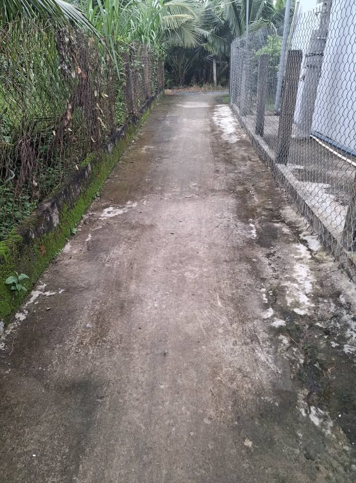 Nhà vườn cấp 4 + 5 phòng trọ tại Chợ Gạo, Tiền Giang 369m² giá 1.7 tỷ - Đầu tư sinh lời ngay!