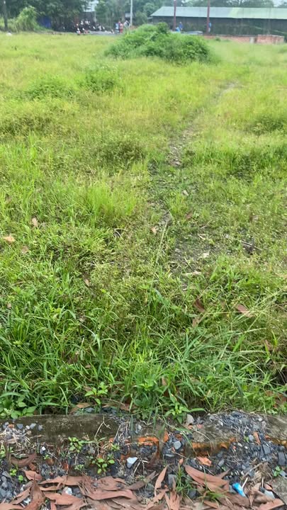 Đất nền khu dân cư Giang Điền 100m² giá chỉ từ 879 triệu - Sổ đỏ chính chủ!