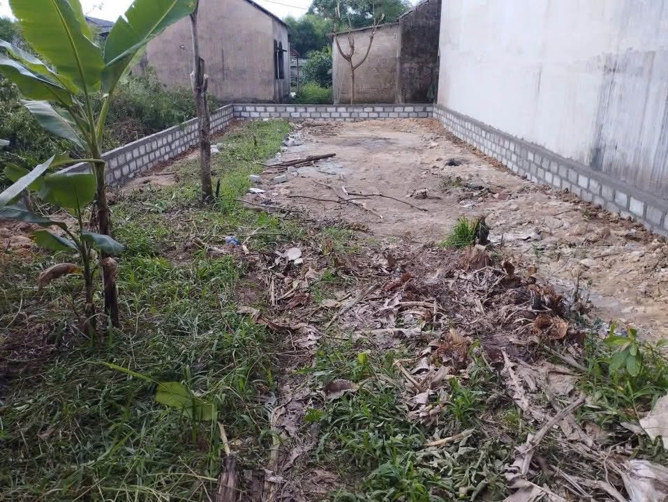 Đất mặt tiền Tứ Hạ, Hương Trà 175m² giá 1.42 tỷ - Cơ hội đầu tư hấp dẫn!