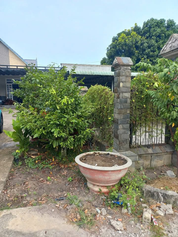 Đất nền 1050m² tại Đại lộ Bình Dương - Sổ đỏ, giá thỏa thuận!