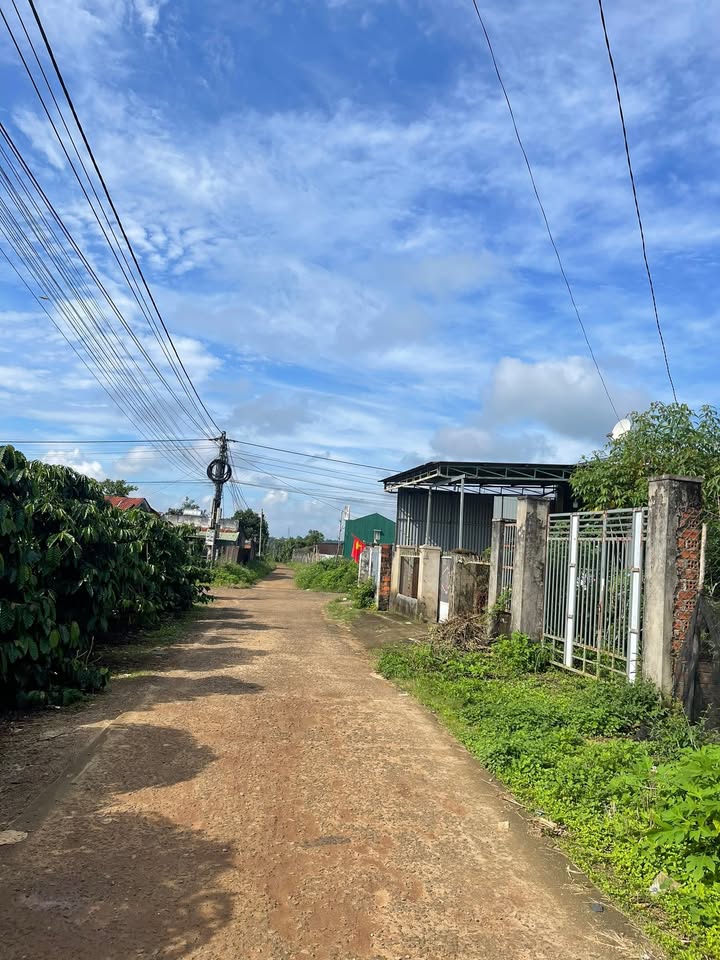 Đất thổ cư 186m² xã Biển Hồ - Cách Quốc Lộ 14 chỉ 40m, giá tốt!