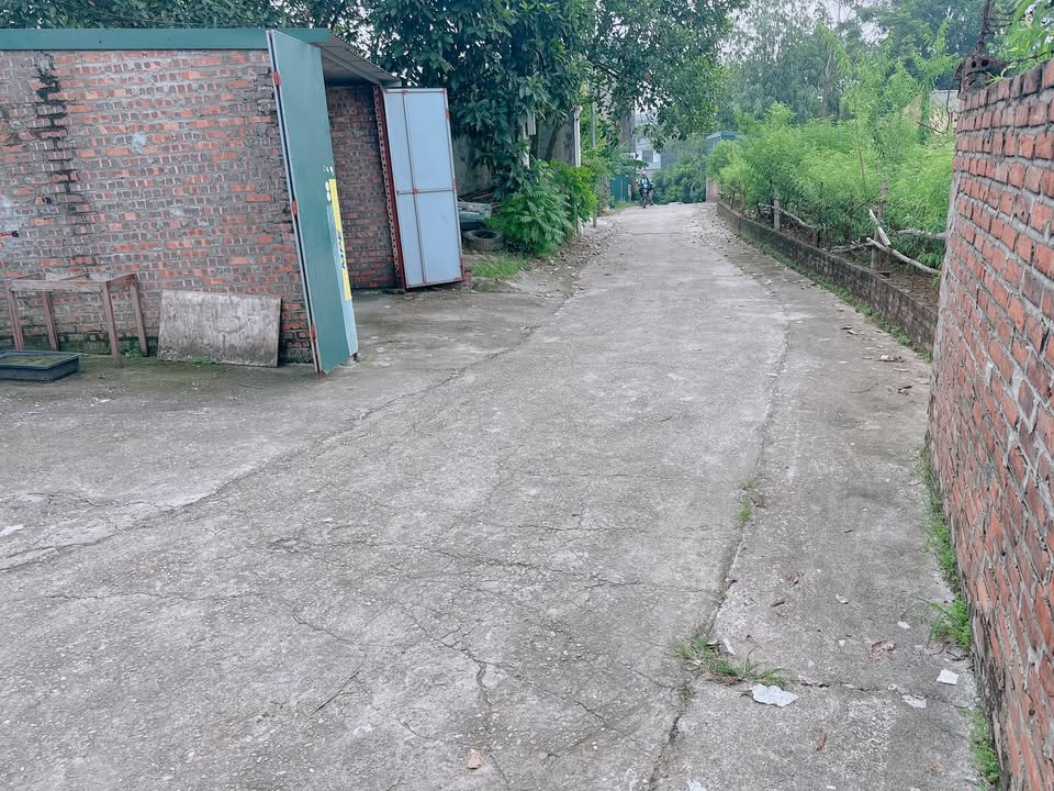 Đất nền tại khu phố Lăng, Trưng Vương 79m² giá 2.4 tỷ - Pháp lý rõ ràng, sẵn sàng công chứng!