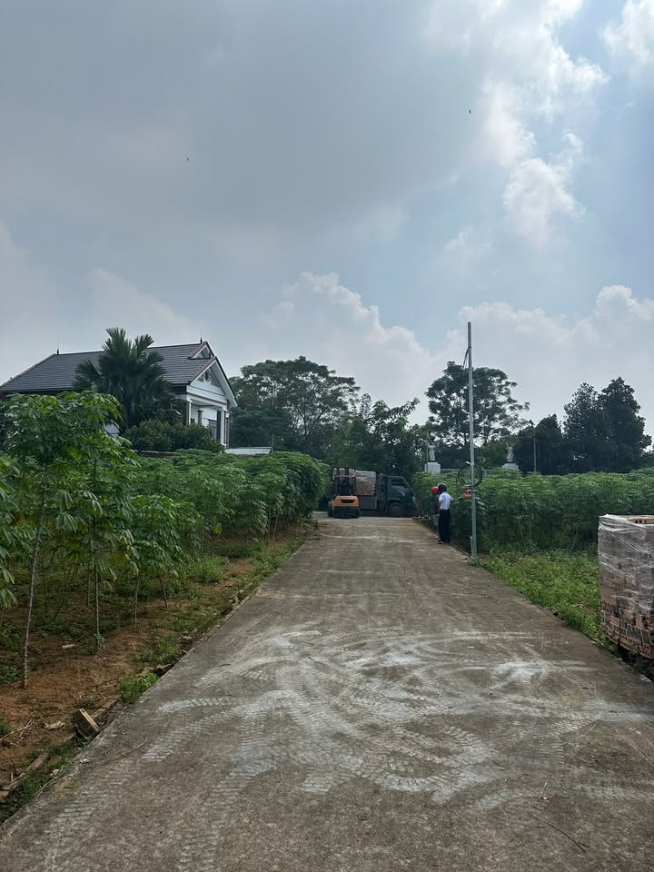 Đất nền Thanh Đình, Việt Trì 100m² giá chỉ 750 triệu - Cơ hội đầu tư hấp dẫn!