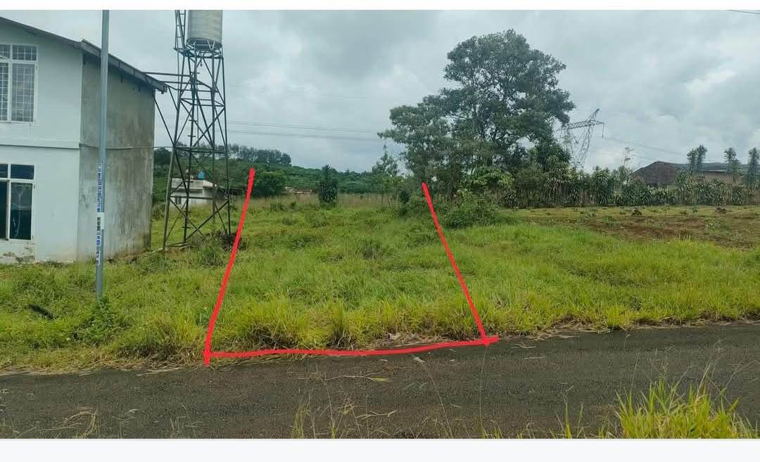 Đất hẻm Nguyễn Trãi, Đà Lạt 150m² giá chỉ 890 triệu - Cơ hội đầu tư hiếm có!