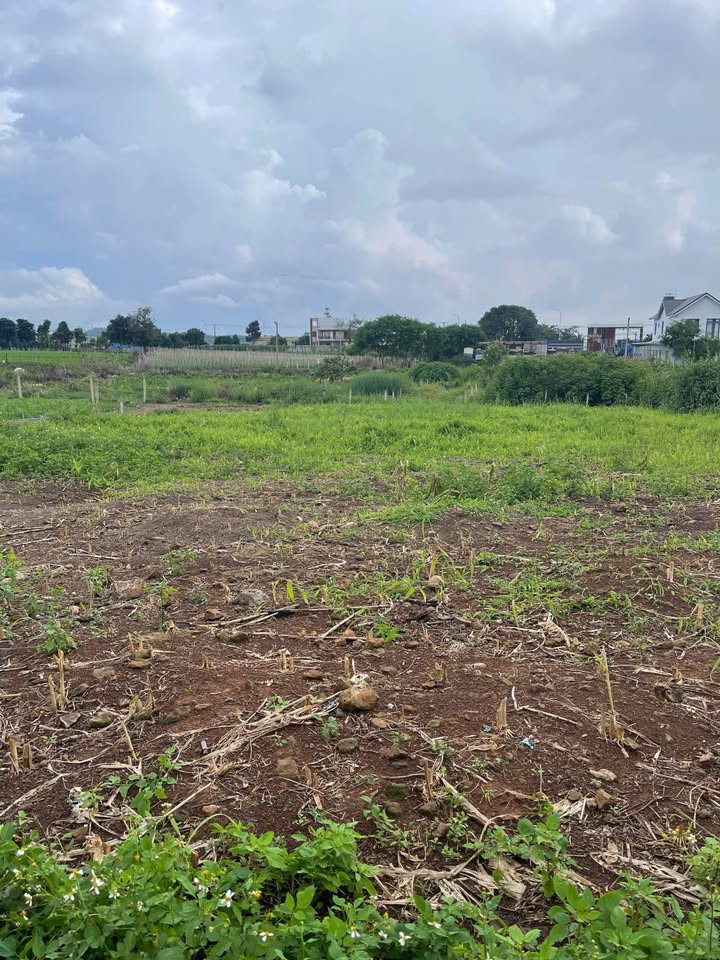 Đất Phú Hội, Đức Trọng, Lâm Đồng 185m² giá 800 triệu - Đường xe hơi, sổ hồng riêng!