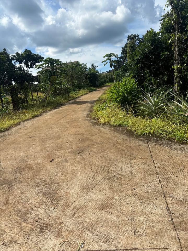 Đất nền Đăk Wer 1050m² giá 300 triệu - Cơ hội đầu tư sinh lời!