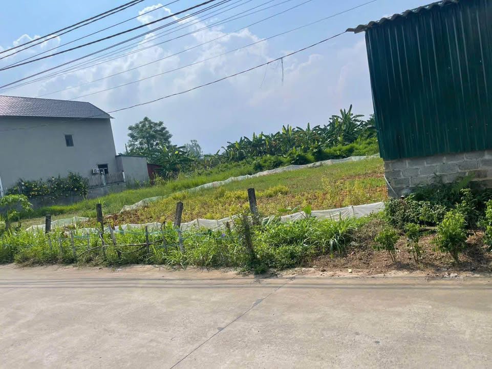 Đất nền 334m² Đồng Trung, Thanh Thủy giá 2 tỷ - Sổ đỏ chính chủ