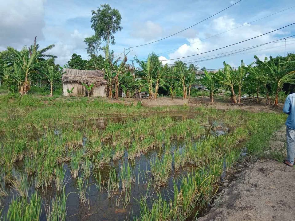 Đất ruộng Vĩnh Hiệp Rạch Giá 3500m² giá 1.5 tỷ - Cần bán gấp!