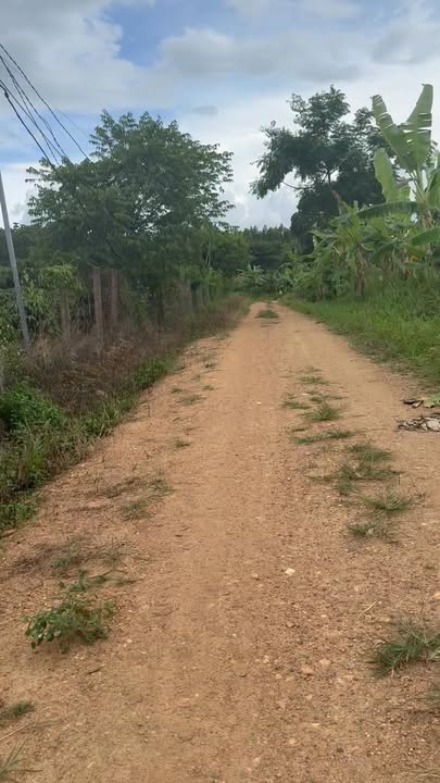 Farm Đắk Lắk 1,5ha - Đầu tư hấp dẫn với nhà yến và vườn cà phê