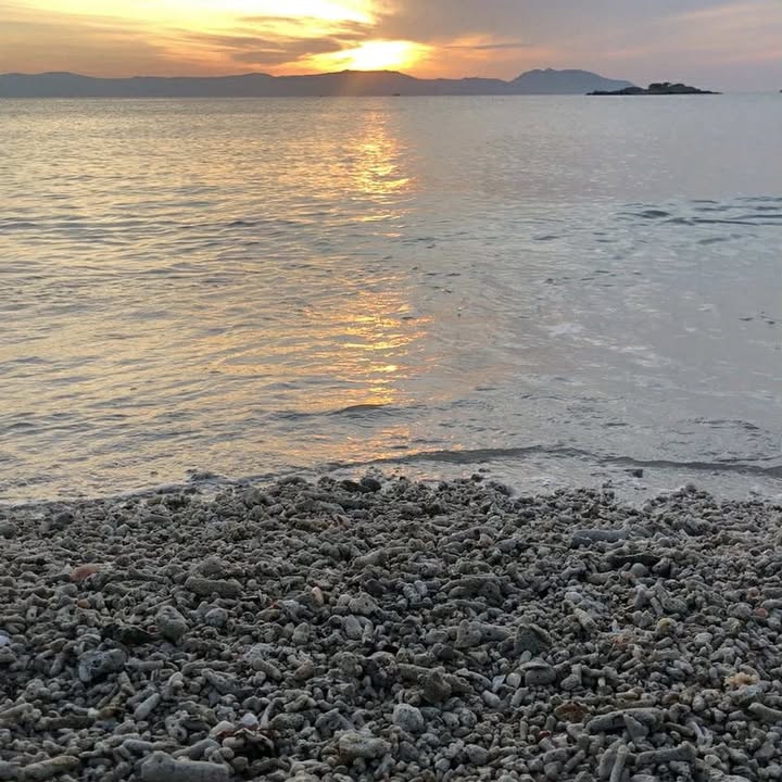 Đất nông nghiệp 6500m² tại Ninh Hải - Cơ hội đầu tư hấp dẫn!