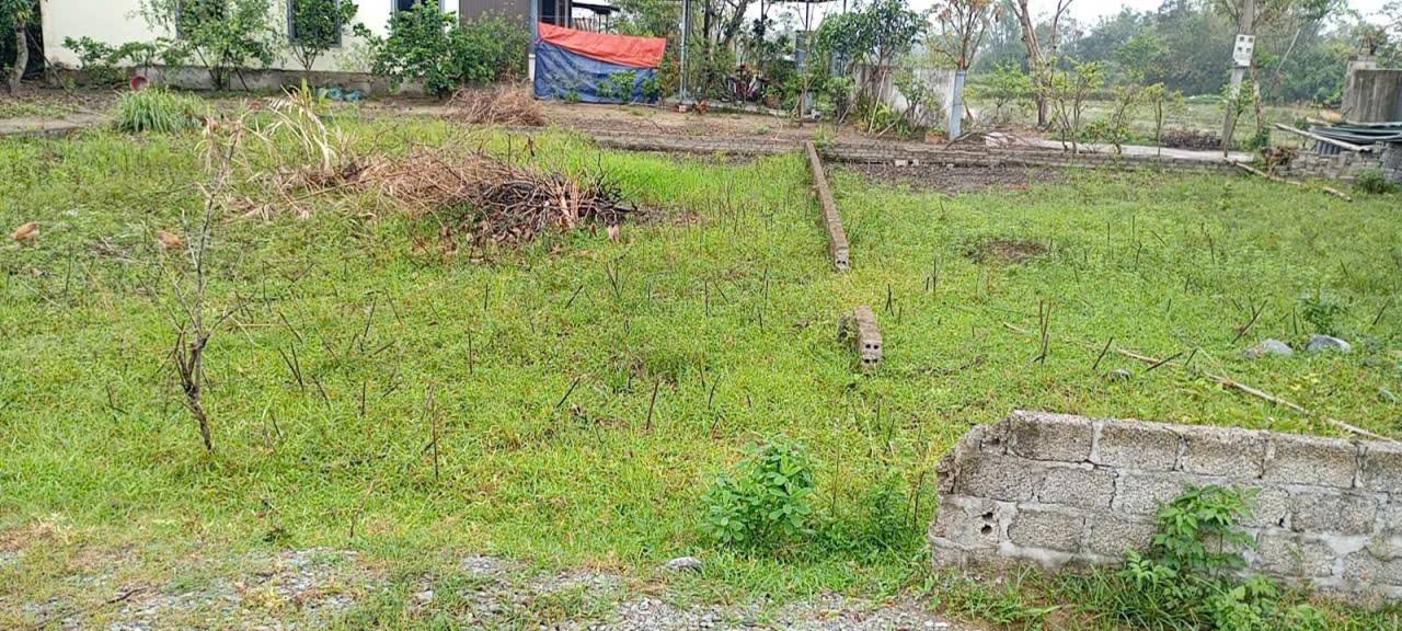 Đất nền bán Xóm Thái Thọ, Nghi Thái 116m² giá 1.25 tỷ - Đường giao thông rộng rãi!