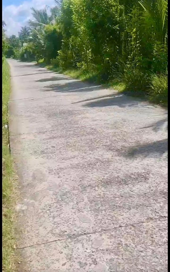 Đất nền Phước Hiệp, Mỏ Cày Nam 552m² giá chỉ 880 triệu - Đường xe tải rộng rãi!