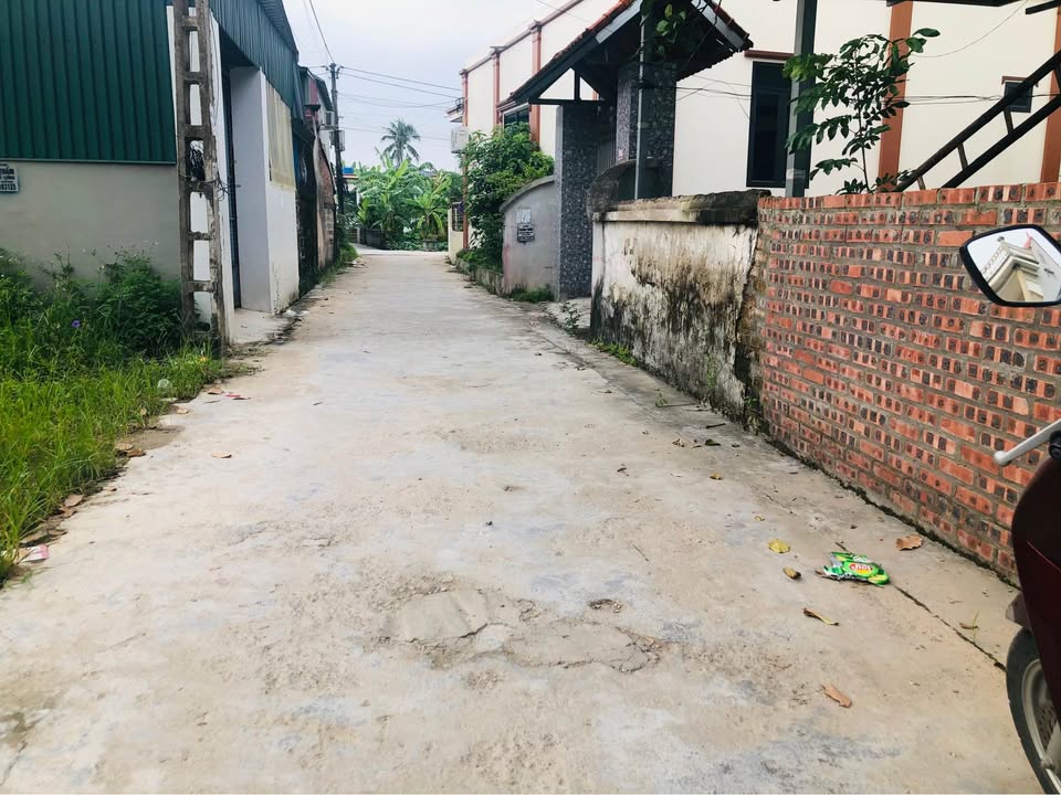 Đất nền khu công nghiệp Văn Tố 100m² giá thỏa thuận - Đầu tư sinh lời ngay!