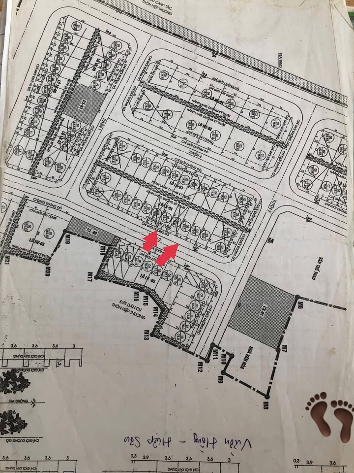 Lô đất đấu giá Hiệp Sơn - Kinh Môn 75m² chỉ 1xx triệu - Cơ hội đầu tư hấp dẫn!