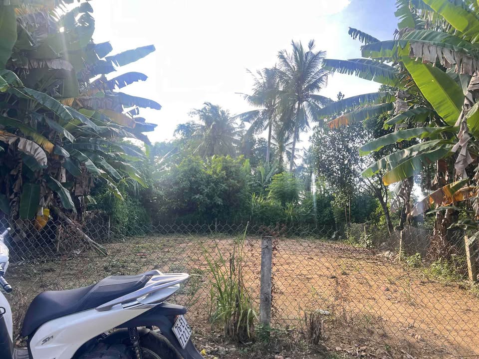 Đất nền Nghĩa Dõng 105m² giá chỉ 500 triệu - Đường ô tô tới nơi!