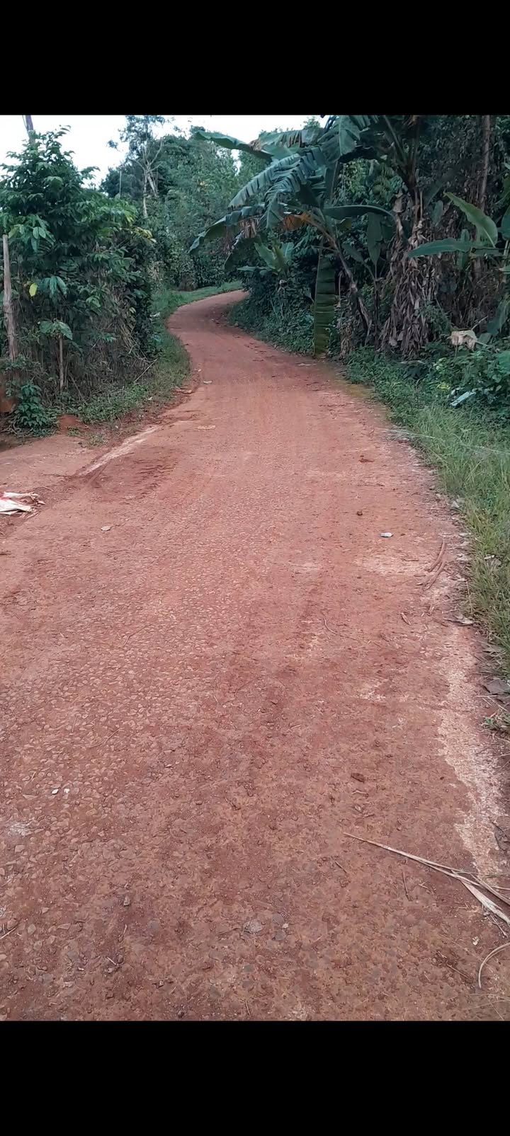 Đất Farm Trường Xuân Đắk Nông 1,5ha giá 2,5 tỷ - Đầu tư sinh lời lý tưởng!