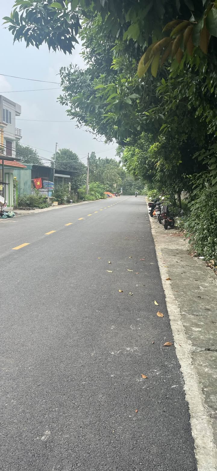 Đất nền đẹp xã Thanh Đình, TP Việt Trì 117m² giá 2 tỷ - Đầu tư sinh lời cao!