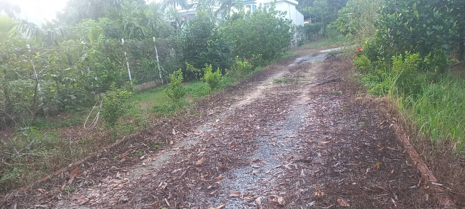 Đất nền Cao Dương Lương Sơn 1800m² giá thỏa thuận - Đầu tư sinh lời tiềm năng!