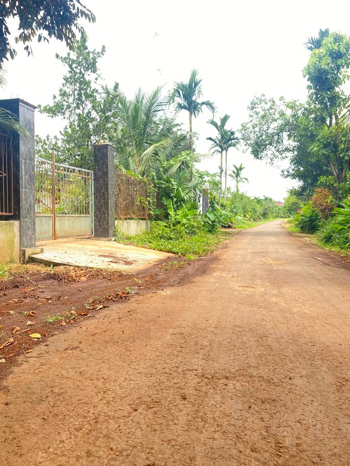 Đất nền Hòa Phú, Buôn Ma Thuột 153.7m² giá 1.09 tỷ - Đường nhựa ô tô né nhau!