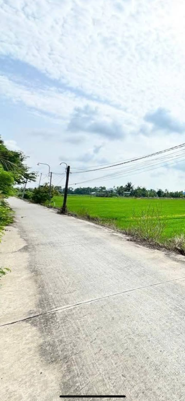 Đất thổ cư 1000m² xã Phước Đông, Cần Đước - Giá 1.9 tỷ, chính chủ!