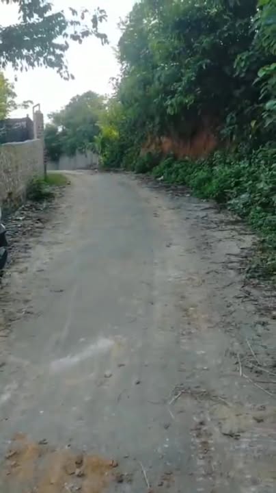 Đất thổ cư 200m² tại Đồng Quế, Sông Lô - Diện tích 700m², giá thương lượng!