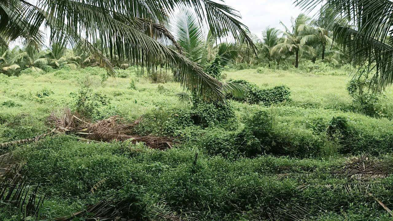 Đất nông nghiệp 4ha tại xã Hòa Bình, Trà Ôn - Mặt tiền 40m, giá thương lượng!