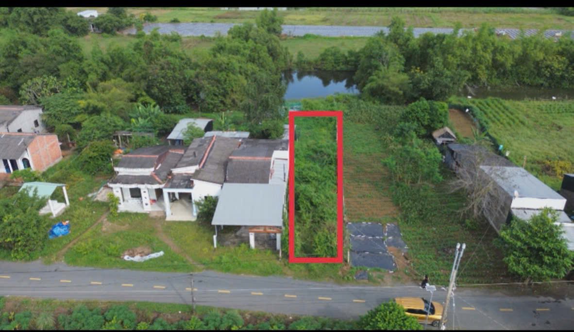 Đất thổ cư 100m² tại Long Hữu, Trà Vinh giá 650 triệu - Cơ hội đầu tư hấp dẫn!